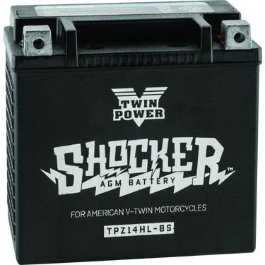 Twin Power Shocker Batteries